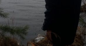 Искали пенопласт: Прокуратура и Минприроды провели рейд на берегу Черноисточинского пруда