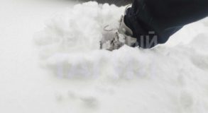 Снегопад поставил на паузу движение по Пермскому тракту (Фото, Видео)